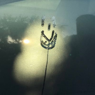 madgipops's profile picture. 