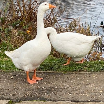 citizensmithhhh's profile picture. 