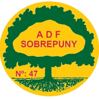 ADF Sobrepuny(@AdfSobrepuny) 's Twitter Profile Photo