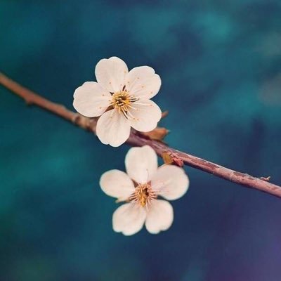 TrTTAnh's profile picture. ❤️