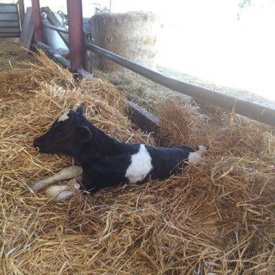 Maggiedel3's profile picture. 