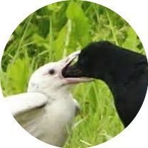 お手柔らかにお願いします。ツイートには監修付き。