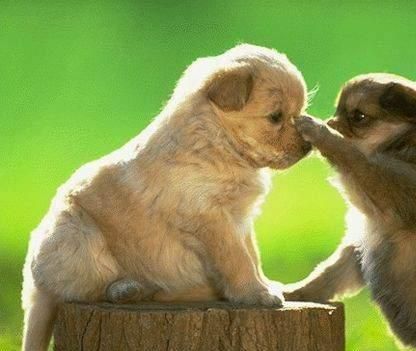 Kevin20221028's profile picture. 喜欢阳光下的一切...