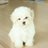 1509282's profile image