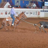 Austinlampe (@austinlampe1) 's Twitter Profile