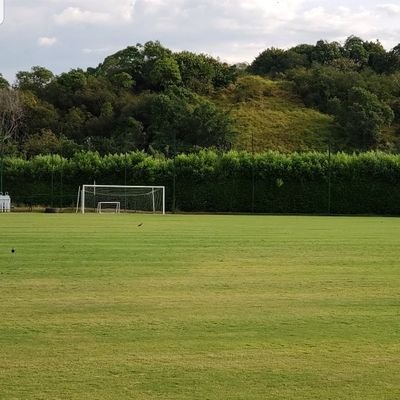 carlos11salazar's profile picture. 