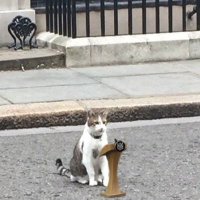Enough Of That Now (@andygilder) 's Twitter Profile
