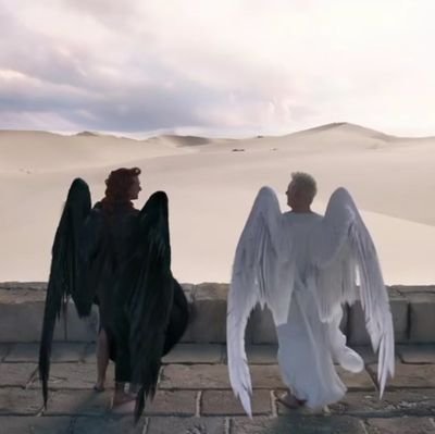 sakoji6's profile picture. 秃了