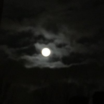 Sam_RH_'s profile picture. PhD Candidate. Grad Researcher!!!