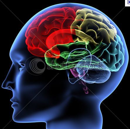 Bajouke's profile picture. 