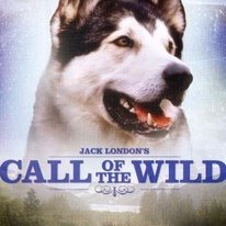 Watch Call Of The Wild Full Movie Online Hd Callofthewildhd Twitter