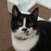 Onua (@odynom) Twitter profile photo Onua (@odynom) Twitter profile photo