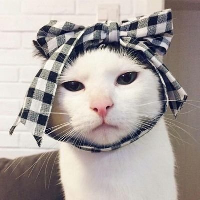 Thiwa81984971's profile picture. 2000