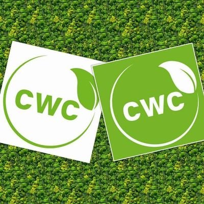 CWC is a group of young professionals who are passionate about mental health, provide education and support service to individuals with mental disorders