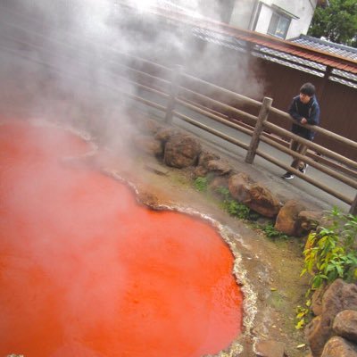 youhei8880's profile picture. 