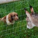 Steve Bowyer - @Stebo56 - Twitter