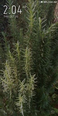 PaulNjora2's profile picture. thinking aloud