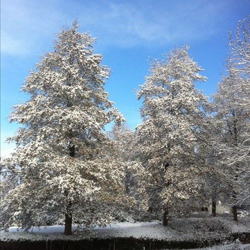 Polar69's profile picture. F1 fan🏎, Fly fisherman 🎣, Cook🍷👀