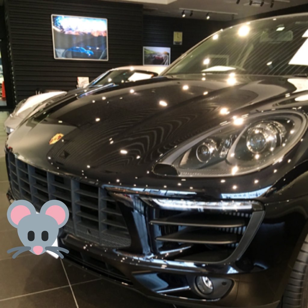 F80M3FSP1's profile picture. 