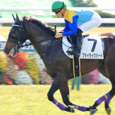 水のように優しく 花のように劇しく 鳥のように飛ぶ