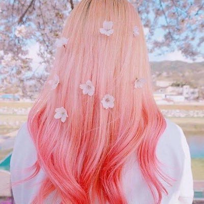 amiimaさんのプロフィール画像