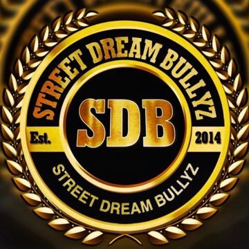 STREETDREAMZBU1 Profile Picture