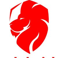 Ladybridge PE (@ladybridgepe) 's Twitter Profile
