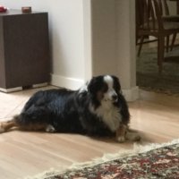 Eva (@eva_machowski) 's Twitter Profile