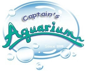 RoyalAquarium's profile picture. Where http://t.co/vmwaUJrFNW Happens
The Best Or Nothing
 
Sincerely,
Captain