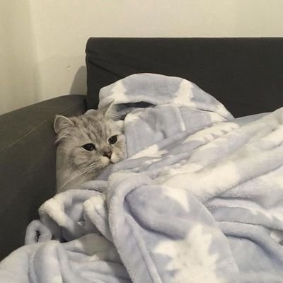 แม้งさんのプロフィール画像