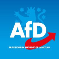 AfD-Fraktion Thüringen(@AfD_ThL) 's Twitter Profile Photo