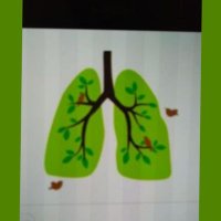 Pulmonary Rehabilitation Team NHSLanarkshire (@pulmrehabnhsl) 's Twitter Profile Photo Pulmonary Rehabilitation Team NHSLanarkshire (@pulmrehabnhsl) 's Twitter Profile Photo