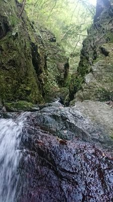 TsBEnyyt2aTgYyT's profile picture. トライアンフのスピードツイン900に乗ってます!
よろしくおねがいします。m(__)m
バイクで神社仏閣巡り、キャンプに登山とか多趣味で色々やってます!