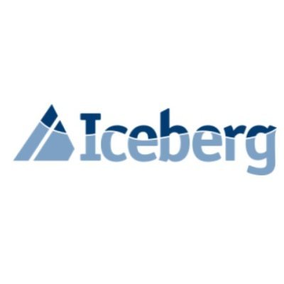 Iceberg Networks Profile