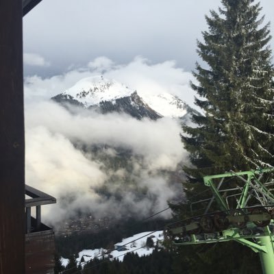 ollie2841's profile picture. 