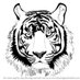 Easy Tiger (@easytig65629522) Twitter profile photo Easy Tiger (@easytig65629522) Twitter profile photo