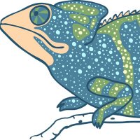 stleonardcspr (@stleonardcspr) 's Twitter Profile