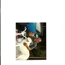 aaron wooten - @realtalk92111 - Twitter