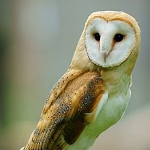 jportman7777's profile picture. 