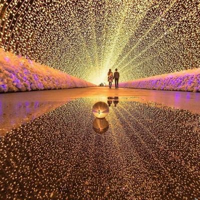 Muhamma66763087's profile picture. interested in philosophy,science, literature and law !!