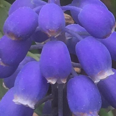 wharper55's profile picture. Christian. If we know how to use it, in love, the directional compass of God brings reconciliation and harmony across viewpoints.