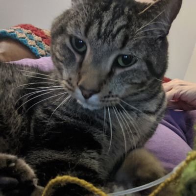 HEartfulDevos's profile picture. https://t.co/krirecgWA4.Create.