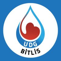 Damla Bitlis (@damlabitlis) 's Twitter Profile