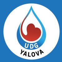 Damla Yalova (@yalovaadamla) 's Twitter Profile