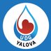 Damla Yalova (@yalovaadamla) Twitter profile photo Damla Yalova (@yalovaadamla) Twitter profile photo