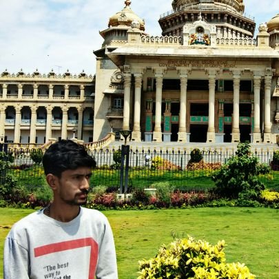 ChannuMakanur's profile picture. Licensed Surveyor