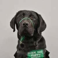 Jamboree (@jamboree_gdb) 's Twitter Profile