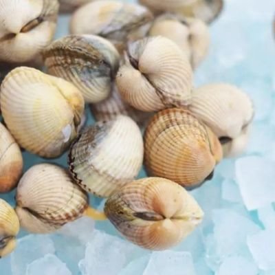 polpotpolpotpol's profile picture. 