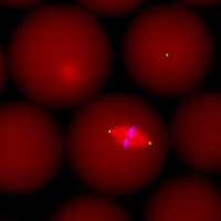 Gatlin Lab Group (@gatlinlab) 's Twitter Profile Photo Gatlin Lab Group (@gatlinlab) 's Twitter Profile Photo