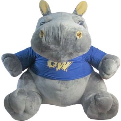 baconprince's profile picture. GWU dorm elf